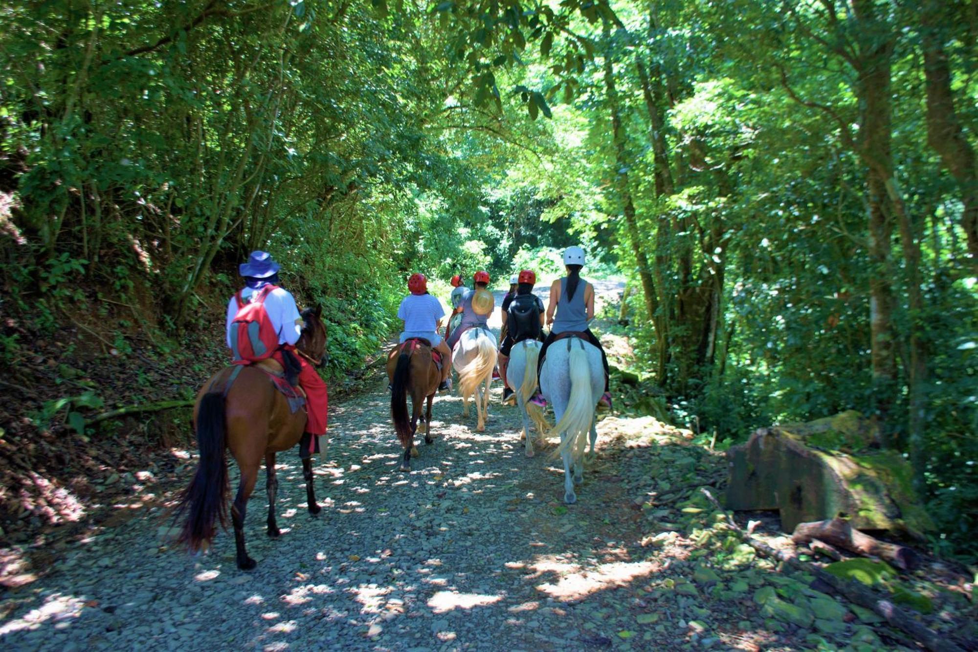 Adventure Park & Hotel Vista Golfo Tajo Alto Εξωτερικό φωτογραφία